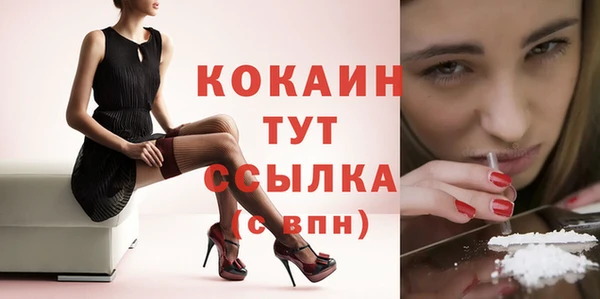 бошки Арсеньев