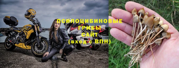 бошки Арсеньев